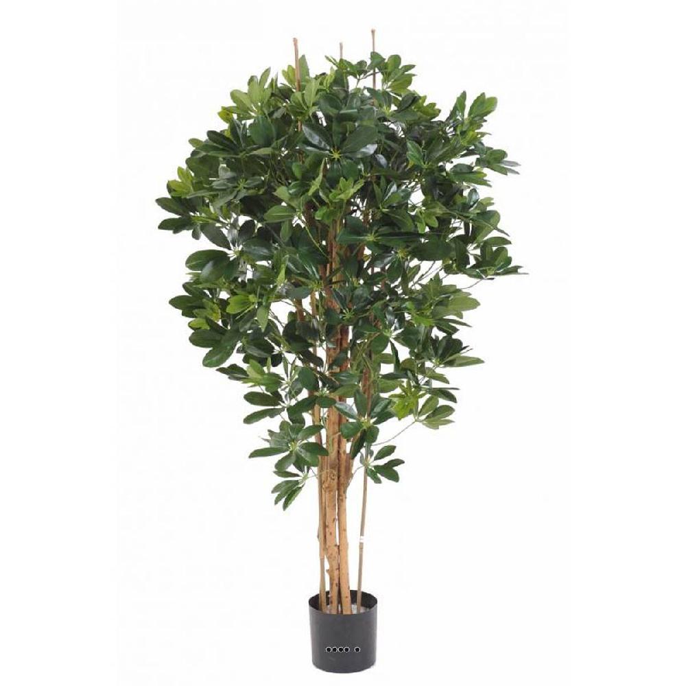 artificielles Faux abre schefflera en pot vert