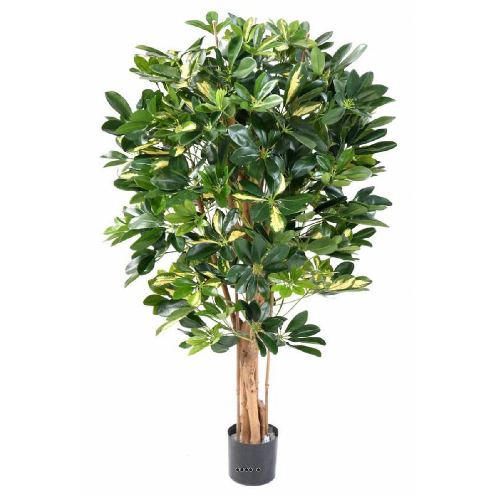 artificielles Faux abre schefflera en pot