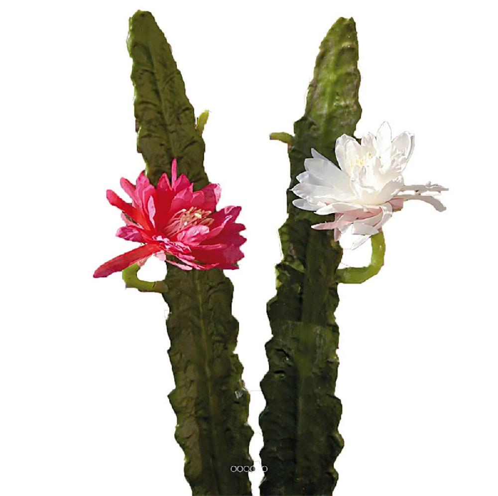 artificielles Faux cactus cierge piquet H 52 cm
