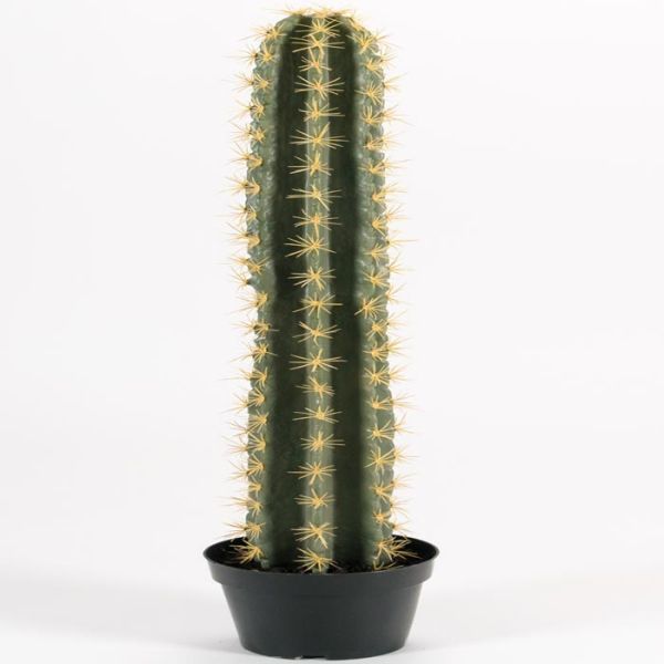artificielles Faux cactus en pot