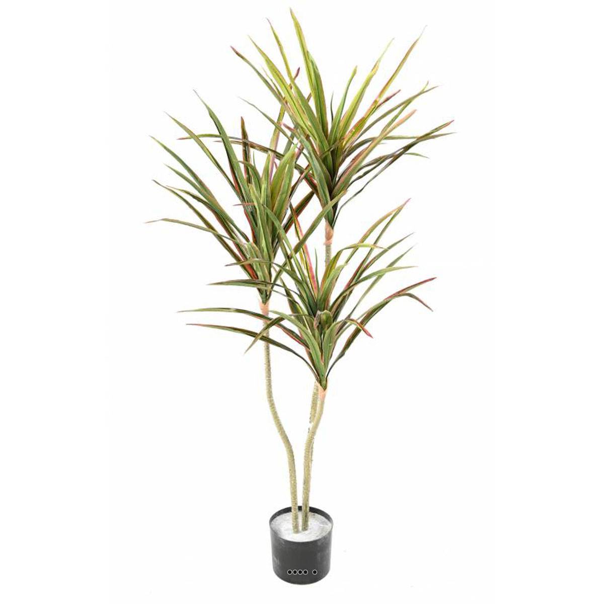 artificielles Joli faux dracaena en pot