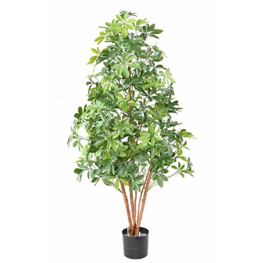 artificielles Superbe faux arbre choisya