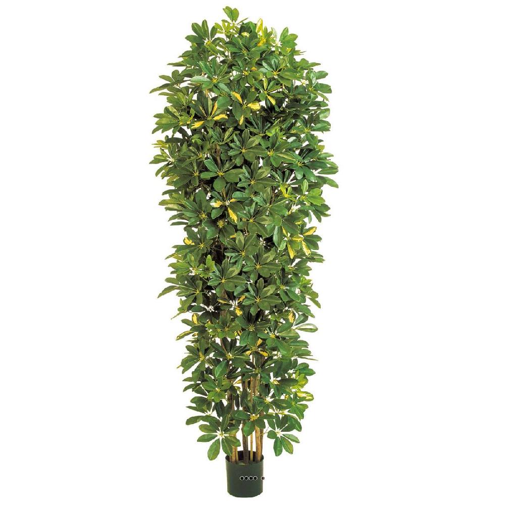 artificielles Superbe faux schefflera H 195 cm
