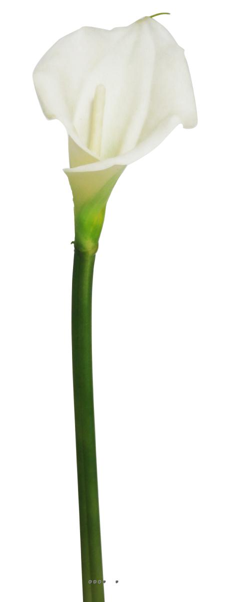 artificielles Arum calla artificiel H 55 cm Fleur exotique en latex superbe du site Artificielles.com