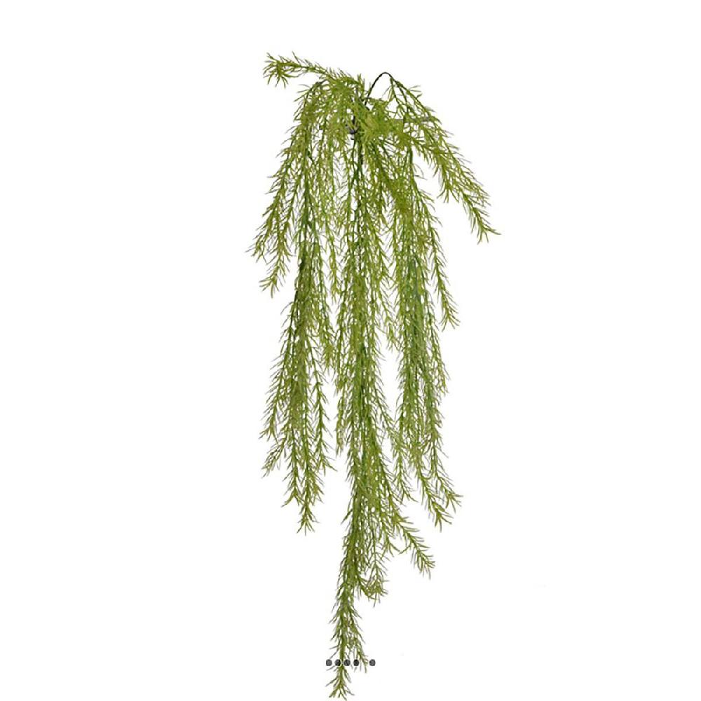 artificielles Asparagus artificiel en chute 80cm vert clair