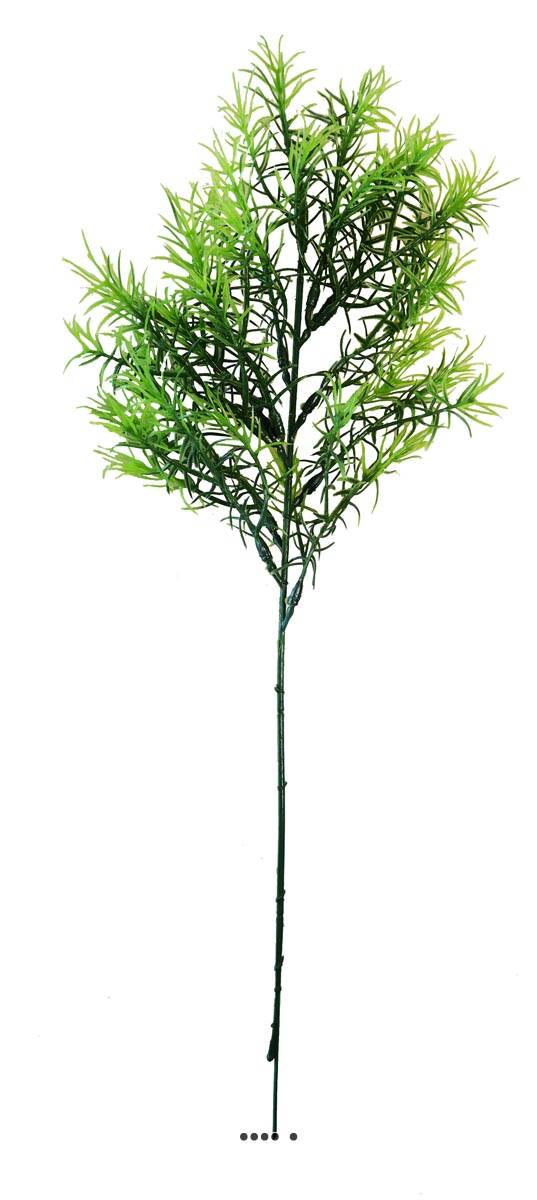 artificielles Asparagus Sprengeri en pic plastique artificiel vert H 42 cm aérien du site Artificielles.com