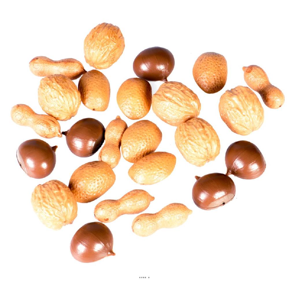 artificielles Assortiment de fruits secs en lot de 24 Plastique soufflé