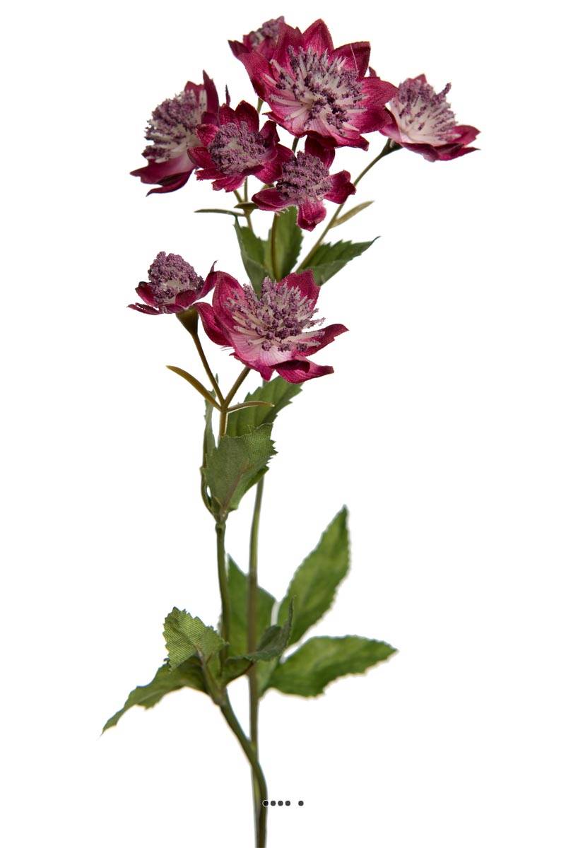 artificielles Astrance fleur artificiellel H 50 cm 8 fleurs 2 ramures Rare et superbe - Site Artificielles.com