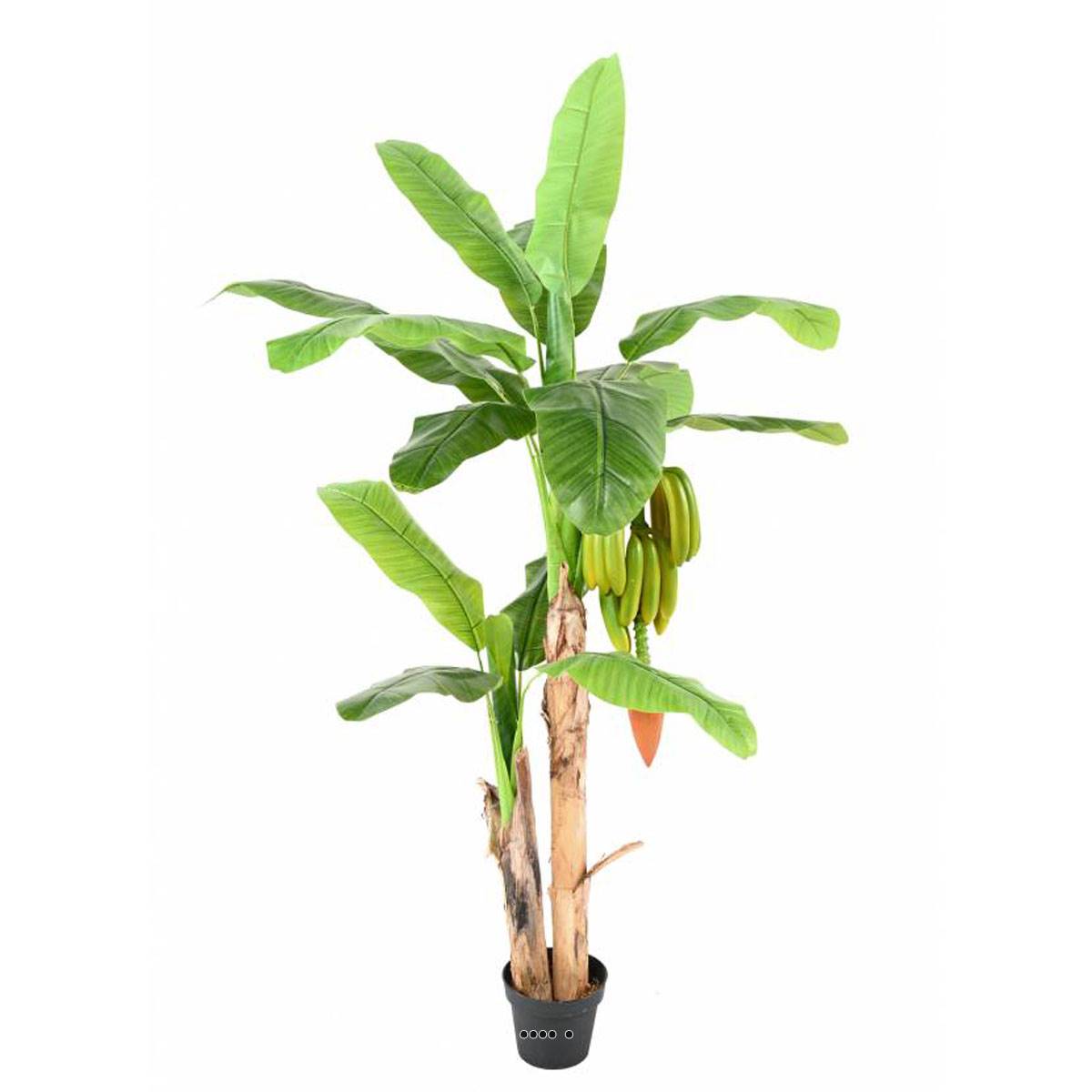 artificielles Bananier artificiel 2 troncs en pot H 180 cm et Bananes