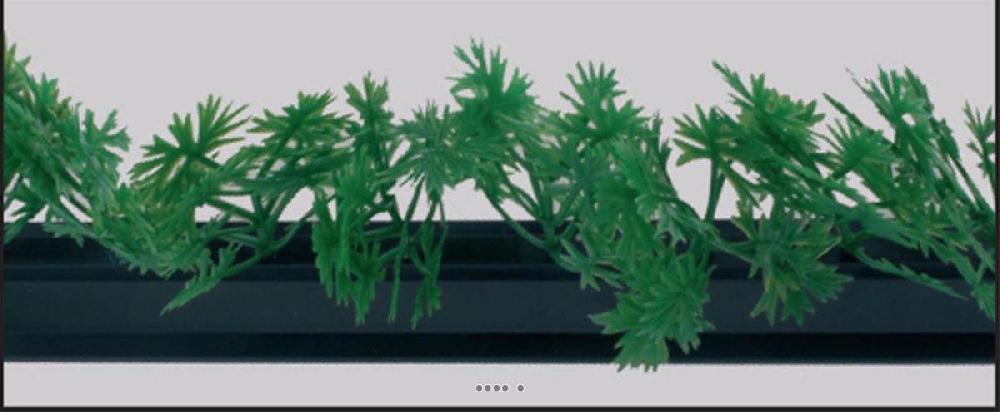artificielles Barrette X 12 entre plats separateurs socle noir L 25 cm feuillage Persil du site Artificielles.com
