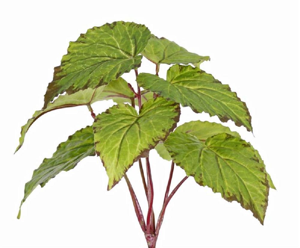 artificielles Begonia artificel en piquet 9 feuilles H25cm
