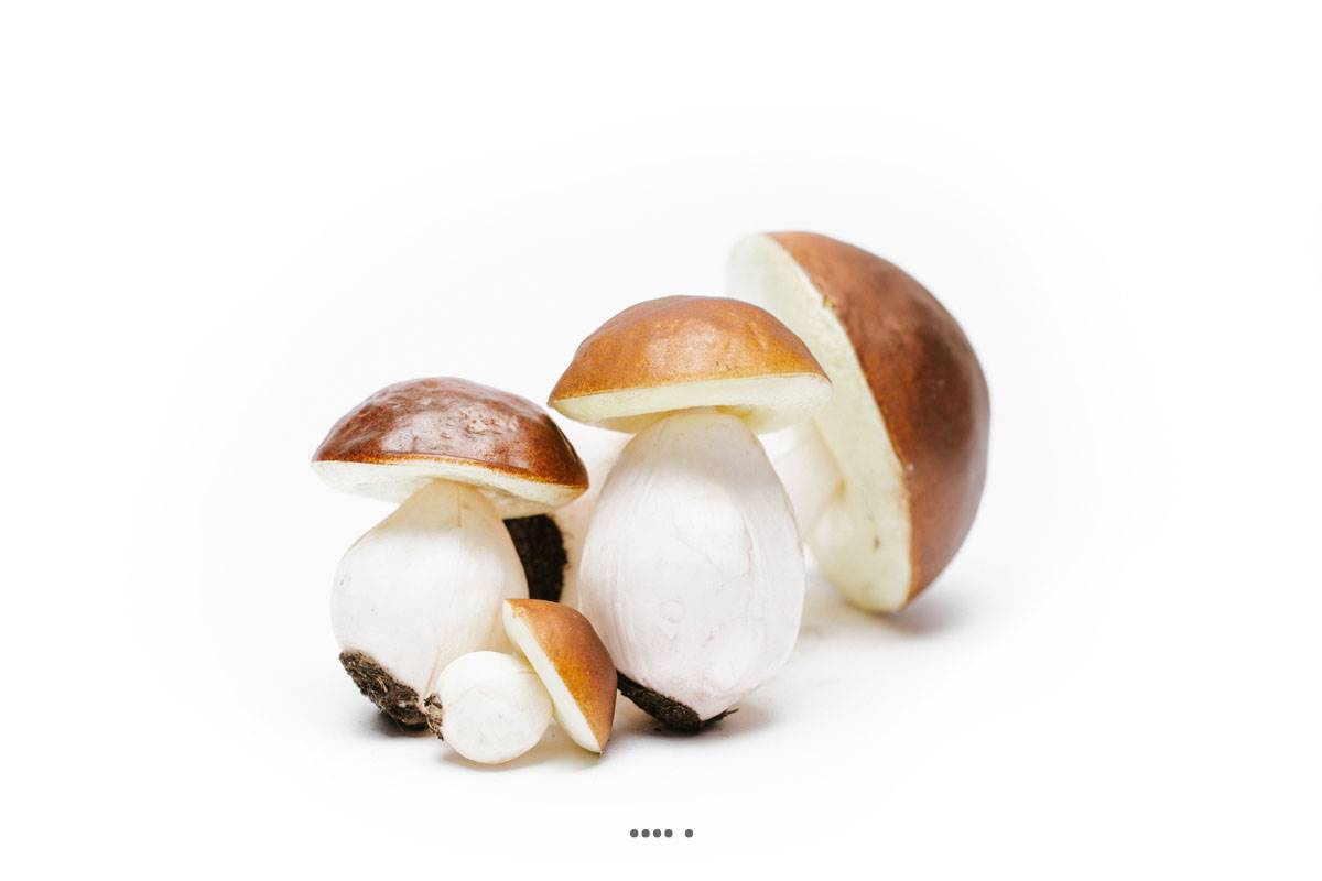 artificielles Bolets artificiels assortis en lot de 4 Plastique soufflé H 60-140 mm