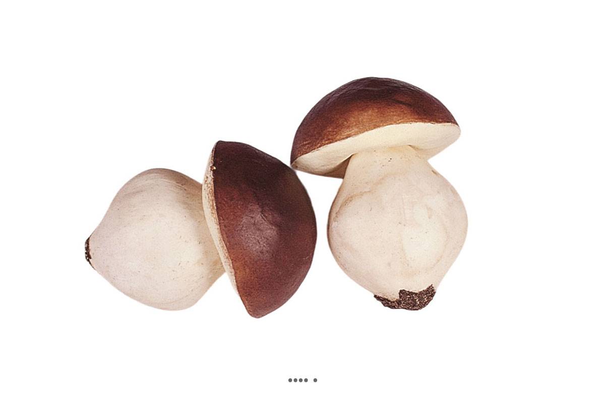 artificielles Bolets artificiels en lot de 2 en Plastique soufflé H 140x110 mm