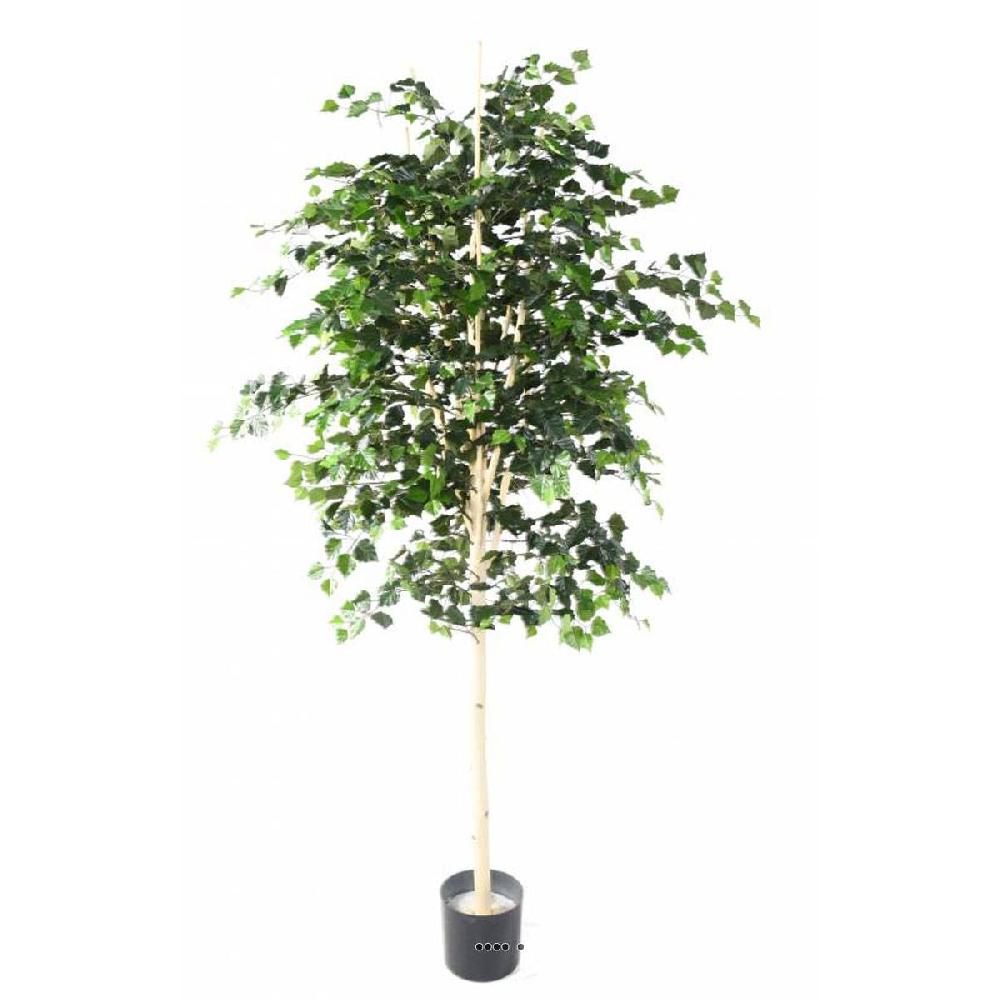 artificielles Bouleau artificiel en pot feuillage vert| Artificielles.com