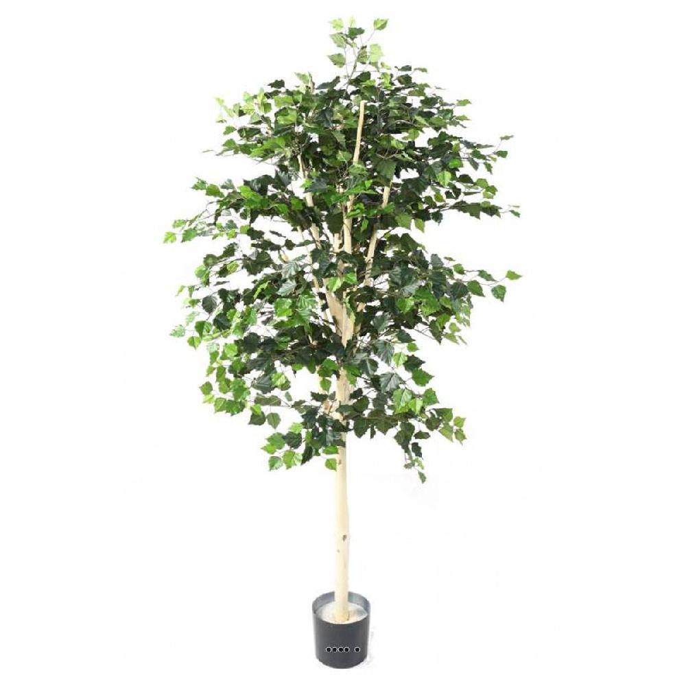 artificielles Bouleau artificiel en pot feuillage vert| Artificielles.com