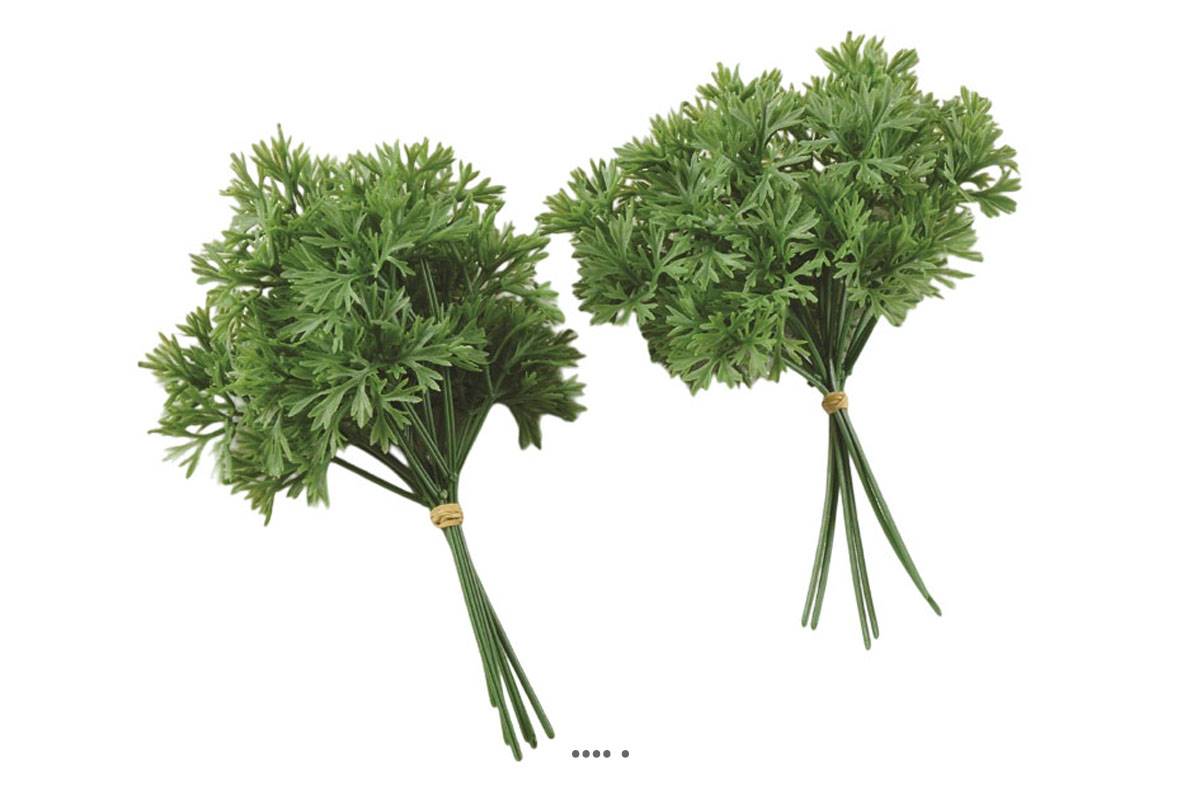 artificielles Bouquet de persil artificiel X 12 en Plastique soufflé H 220x50 mm