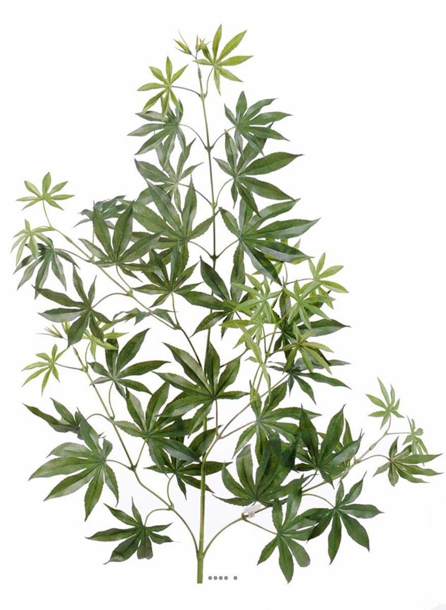 artificielles Branche d Aralia H 70 cm artificielle