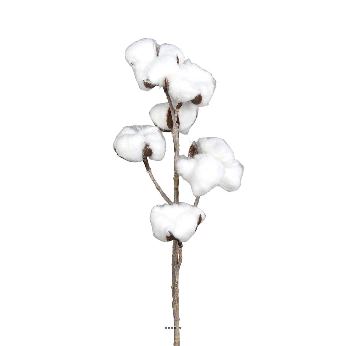 artificielles Branche de coton artificielle H 60 cm 6 tetes