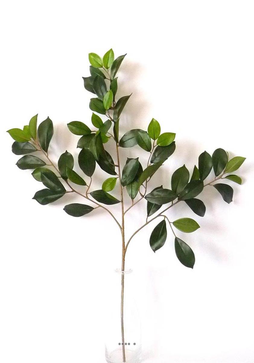 artificielles Branche de ficus artifiel Retusa H 65 cm superbe du site artificielles.com