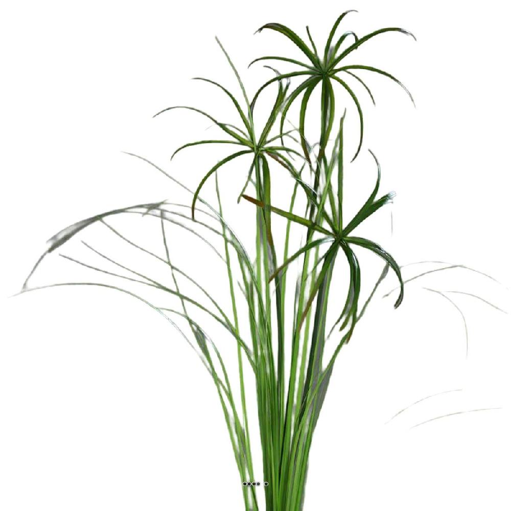 artificielles Branche de Papyrus artificiel H 117 cm 3 tetes du site Artificielles.com