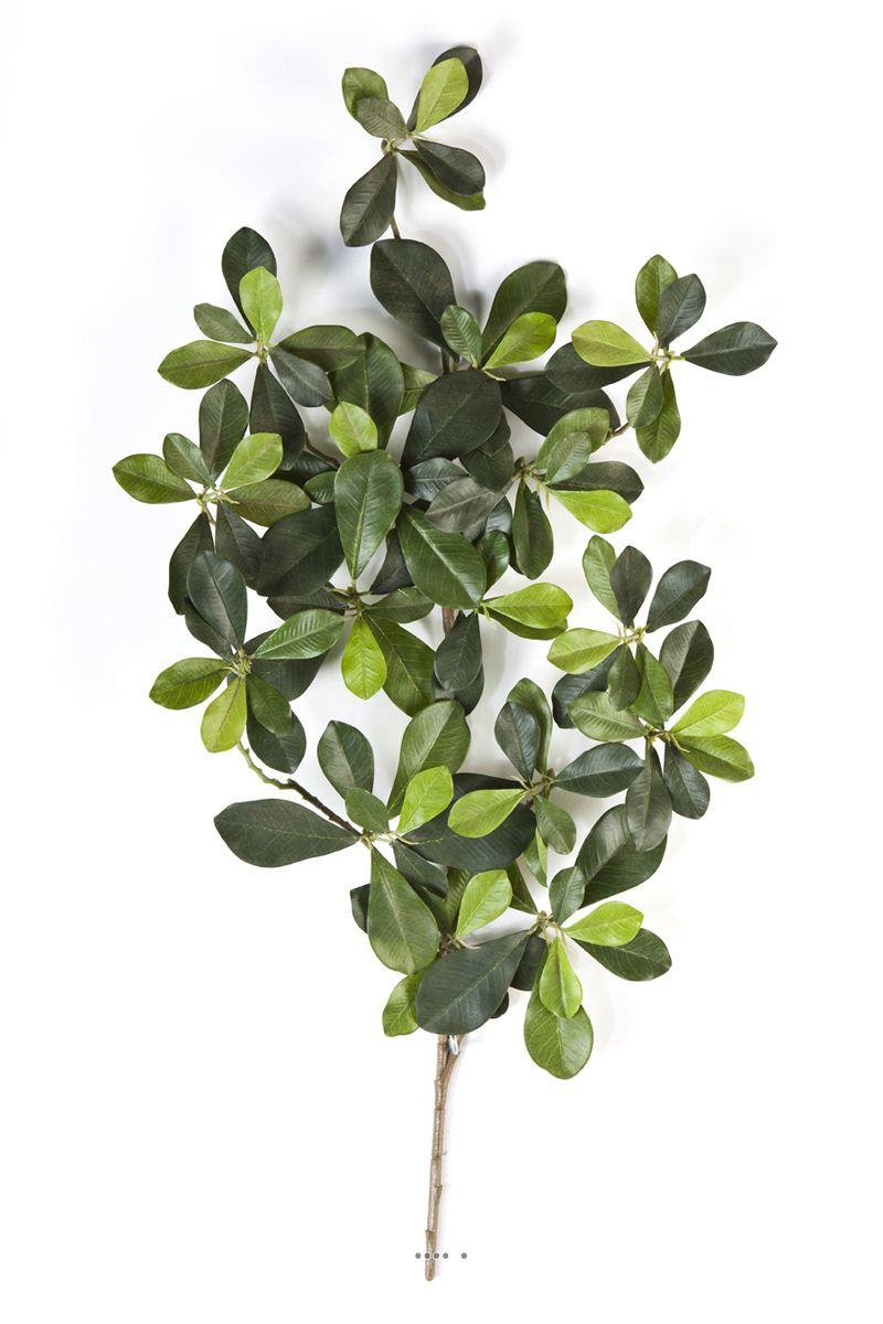 artificielles Branche Olivier oriental artificiel H 55 cm 117 feuilles du site Artificielles.com