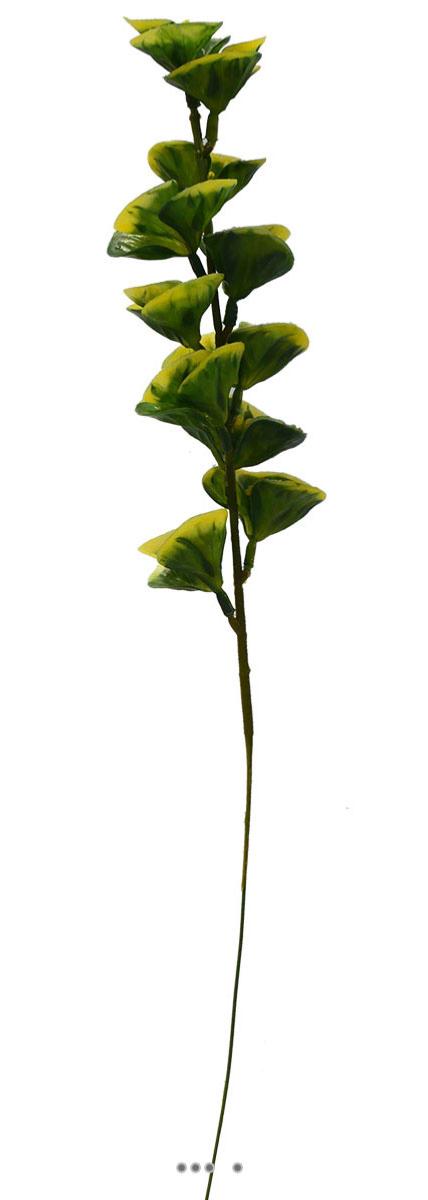 artificielles Bupleurum en pic plastique artificiel panache H 40 cm panaché du site Artificielles.com