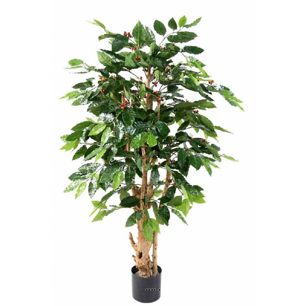 artificielles Cafeïer artificiel en pot H 150 cm D 70 cm