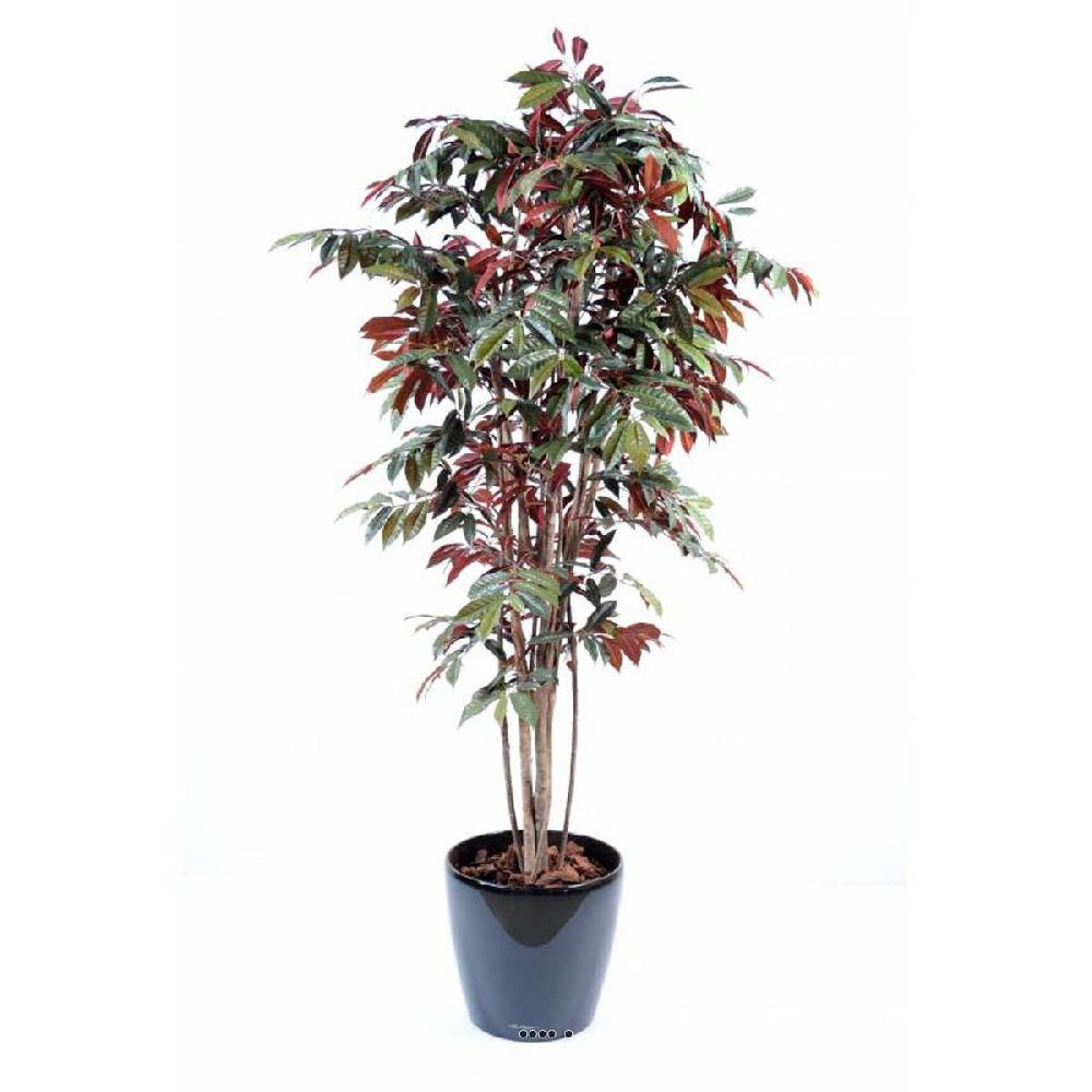 artificielles Capensia Artificiel Tronc bois Feuillage rouge-Vert H 170 cm D 90 cm en du site Artificielles.com