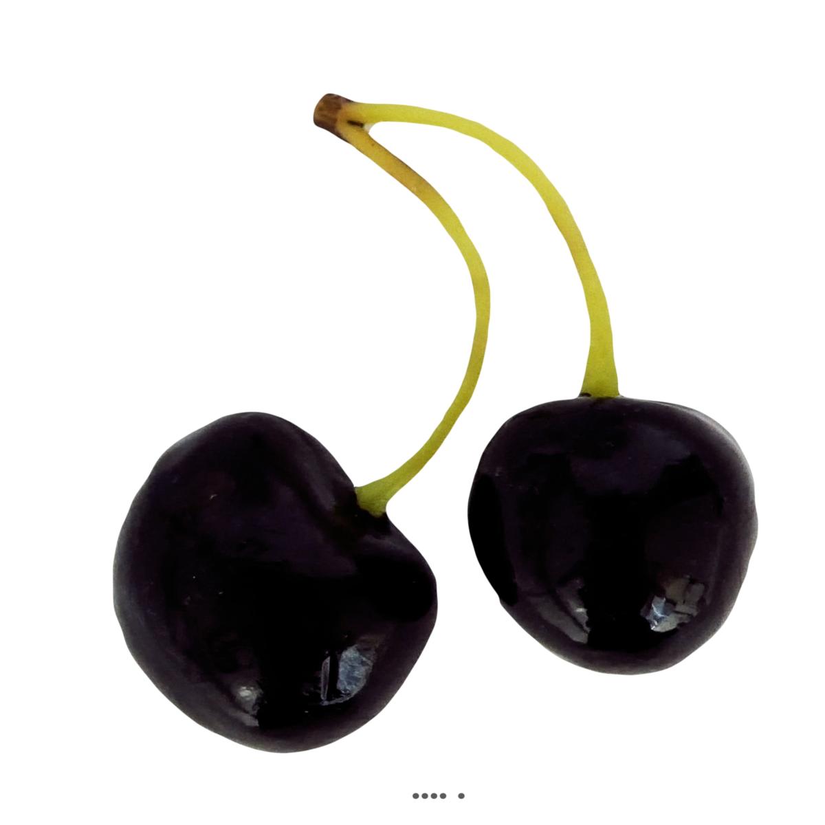 artificielles Cerise Burlat artificielle Par paire H 75 mm Superbe et rare du site Artificielles.com