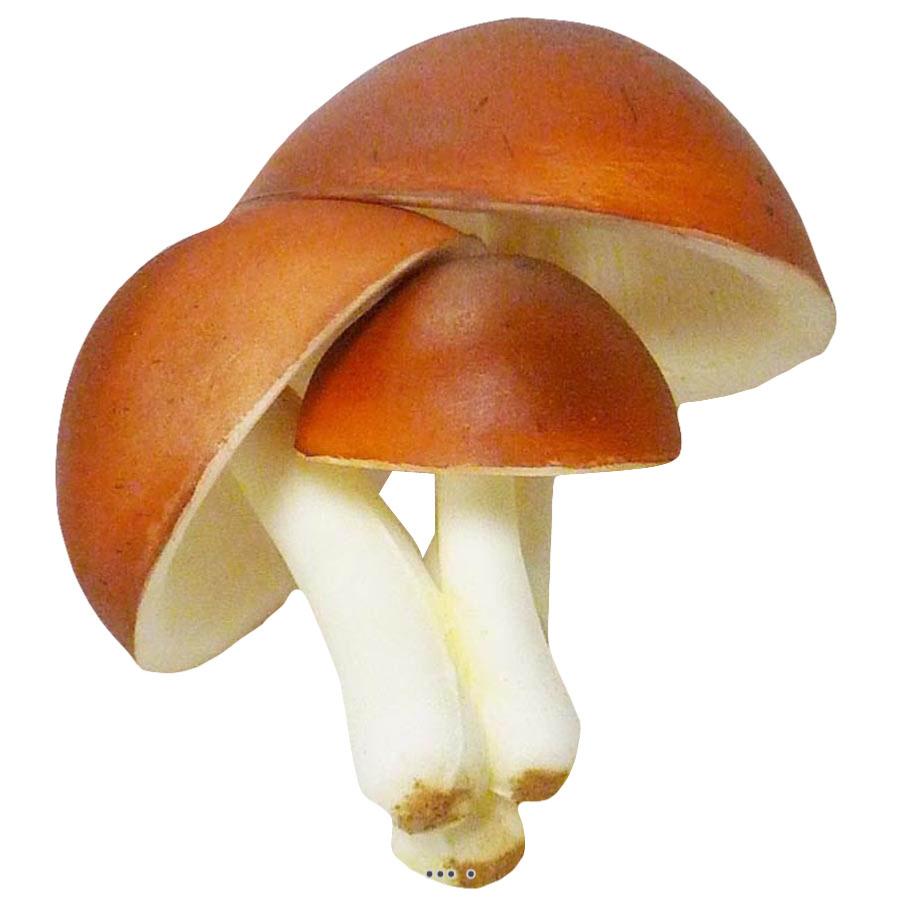artificielles Champignons artificiels Shiitake X3 mousse PU superbe du site Artificielles.com