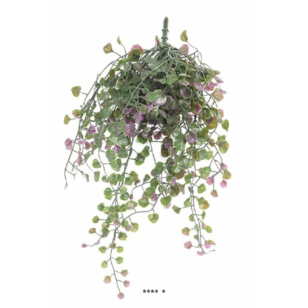 artificielles Chute de dicondra artificiel vert-rose ext
