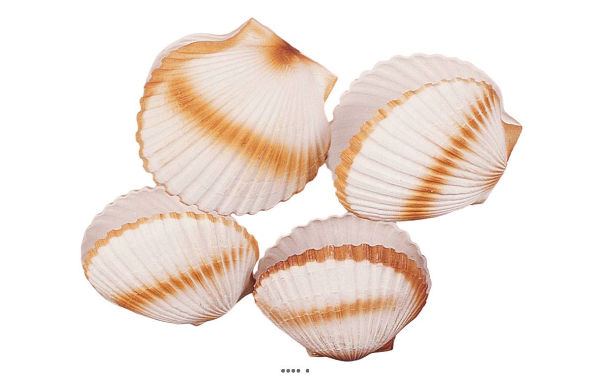 artificielles Coquille saint jacques artificielle X 4 en Plastique soufflé D 150 mm