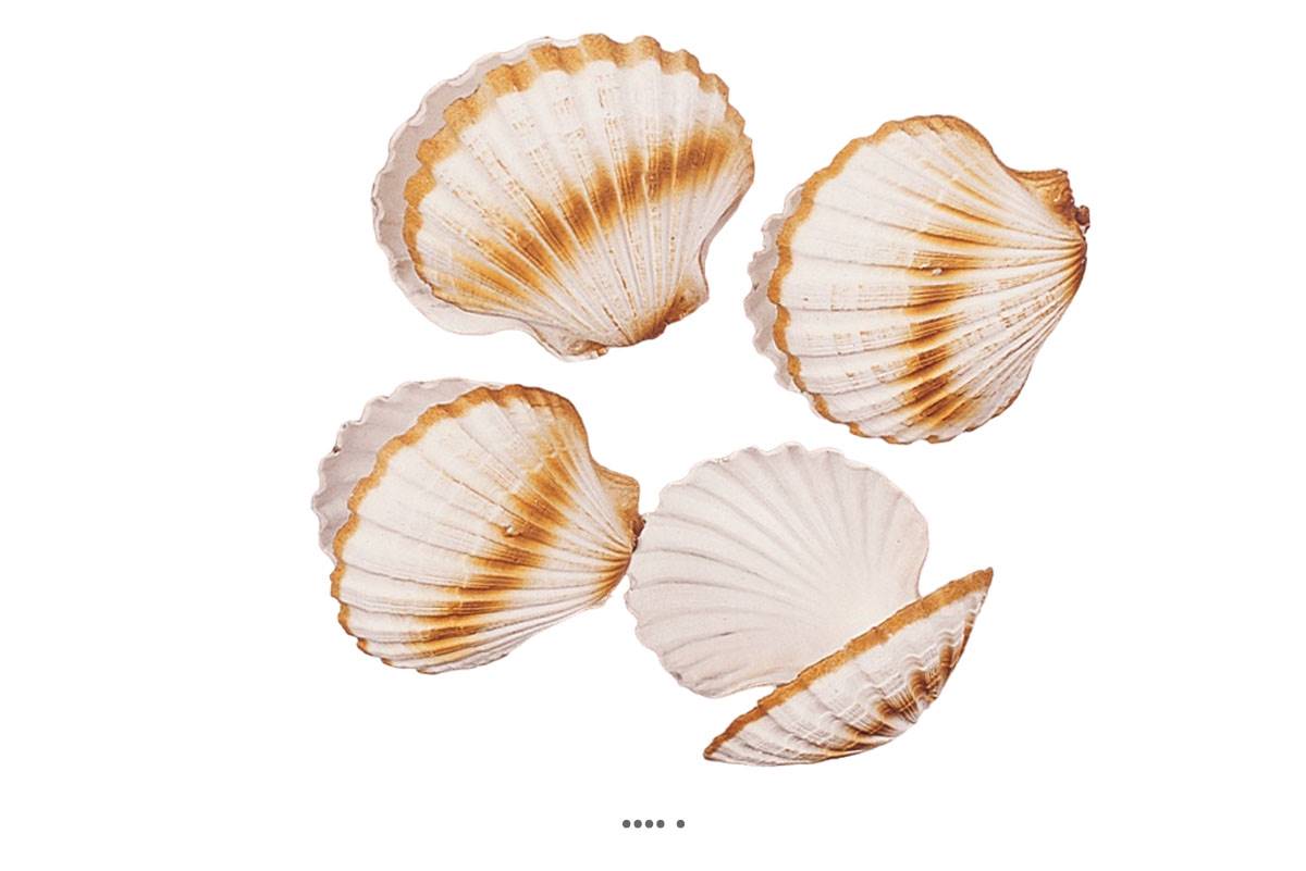 artificielles Coquille saint jacques artificielle X 4 en Plastique soufflé D 120 mm