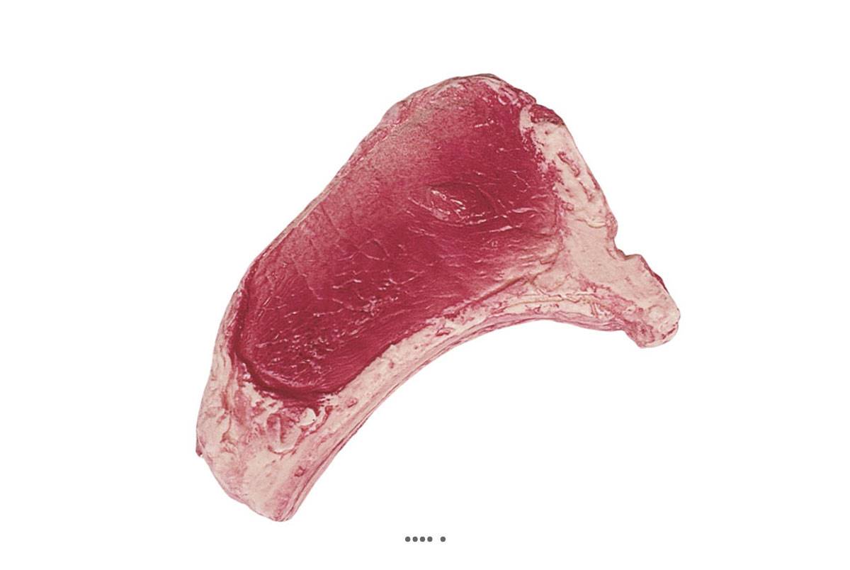 artificielles Cote de Bœuf crue artificielle en Plastique soufflé L 220x150 mm