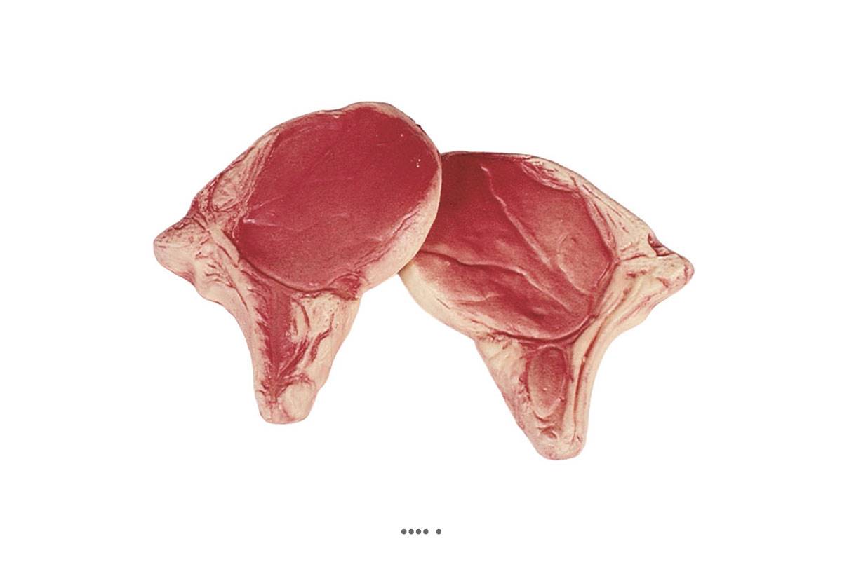 artificielles Cote de Porc crue artificielle X 2 en Plastique soufflé L 135x100 mm