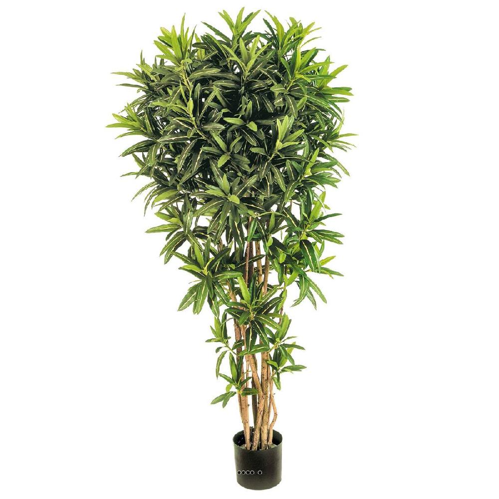 artificielles Croton Goldfinger reflexa artificiel H 150 cm 1428 feuilles arbre en pot du site Artificielles.com