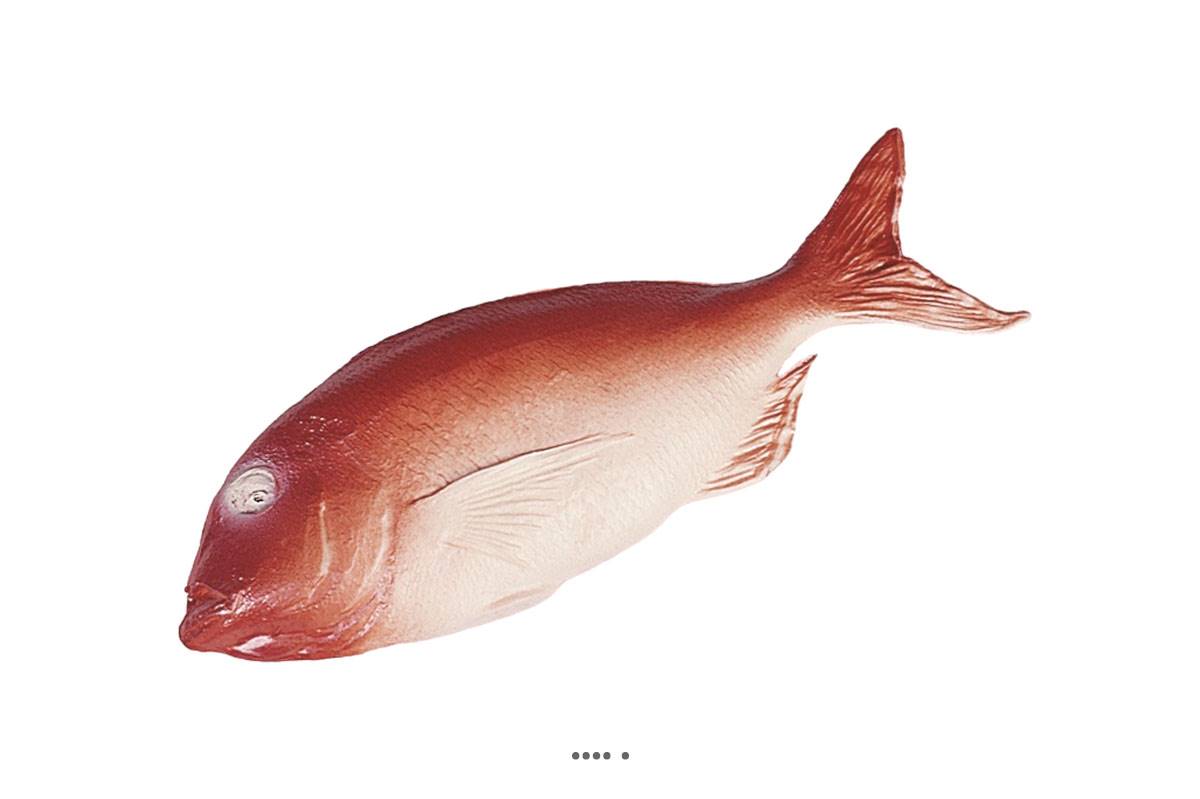 artificielles Daurade artificielle Rouge en Plastique soufflé L 360x130 mm