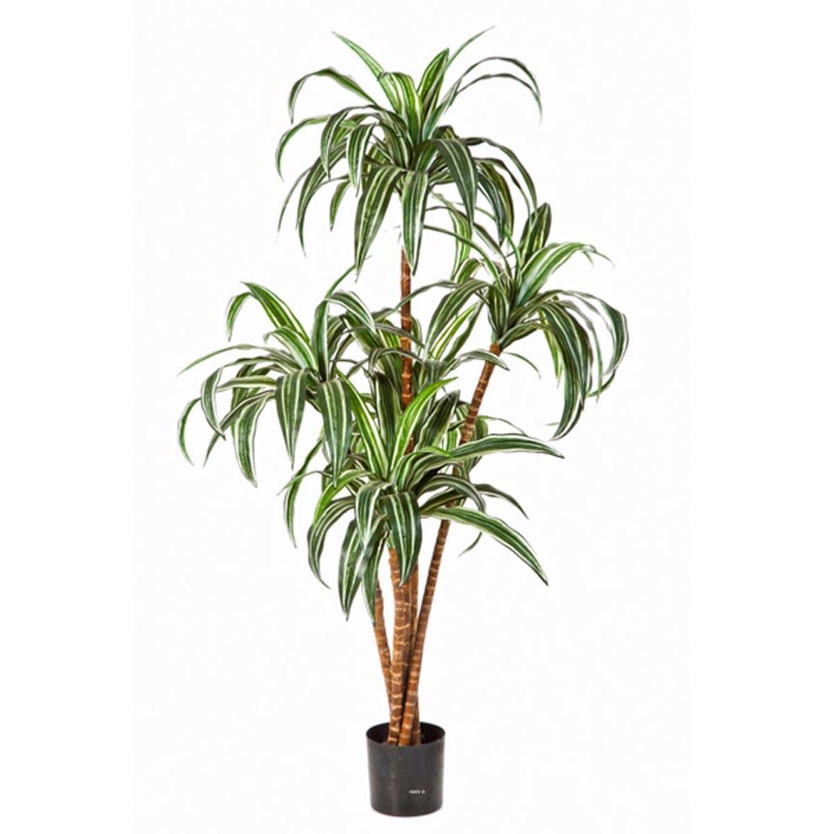 artificielles Dracaena artificiel en pot superbes tetes du site Artificielles.com