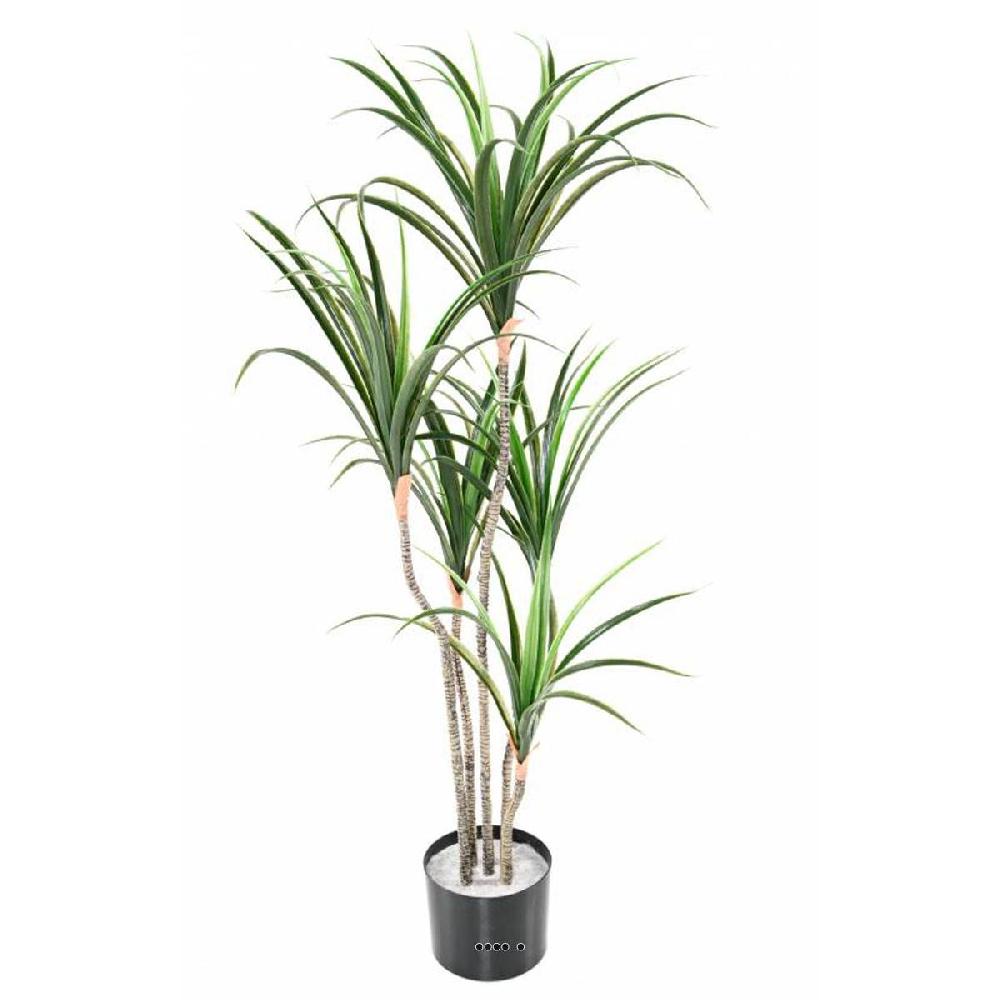 artificielles Dracaena artificiel haut de gamme en pot