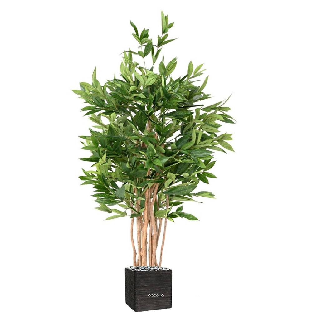 artificielles Dracaena artificiel surculosa H 155 cm en pot - Artificielles.com