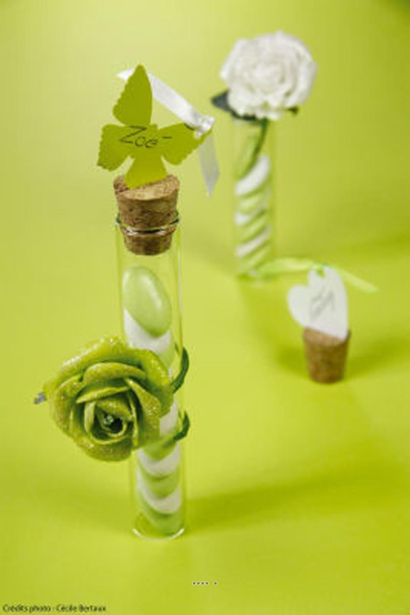 artificielles Eprouvette avec bouchon de liège à garnir en verre du site Artificielles.com