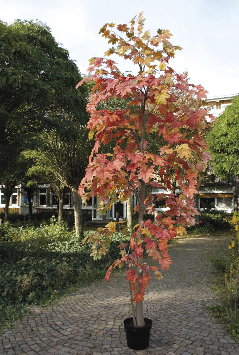 artificielles Erable Arbre Artificiel H 330 cm Automnal tres dense en pot