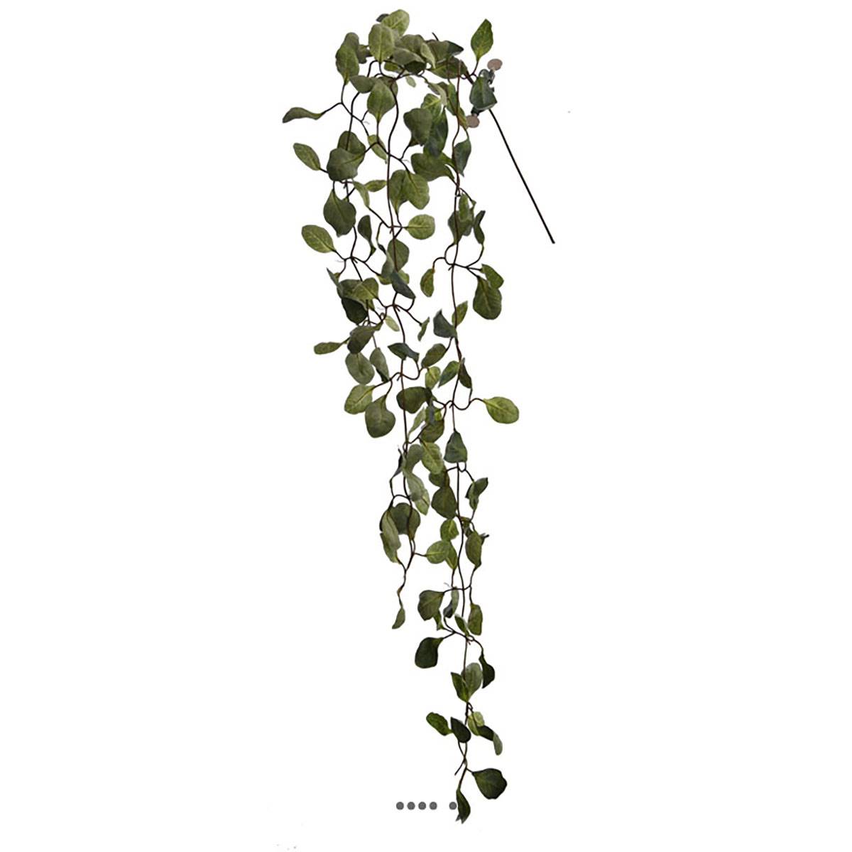 artificielles Eucalyptus artificiel en branche L125cm vert