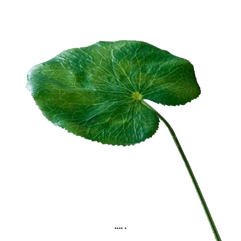 artificielles Feuille de galax artificielle D 18 cm vert du site Artificielles.com