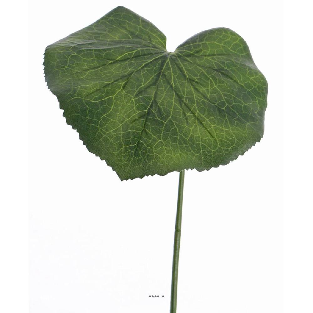 artificielles Feuille de galax artificielle D 20 cm vert H 50 cm du site Artificielles.com