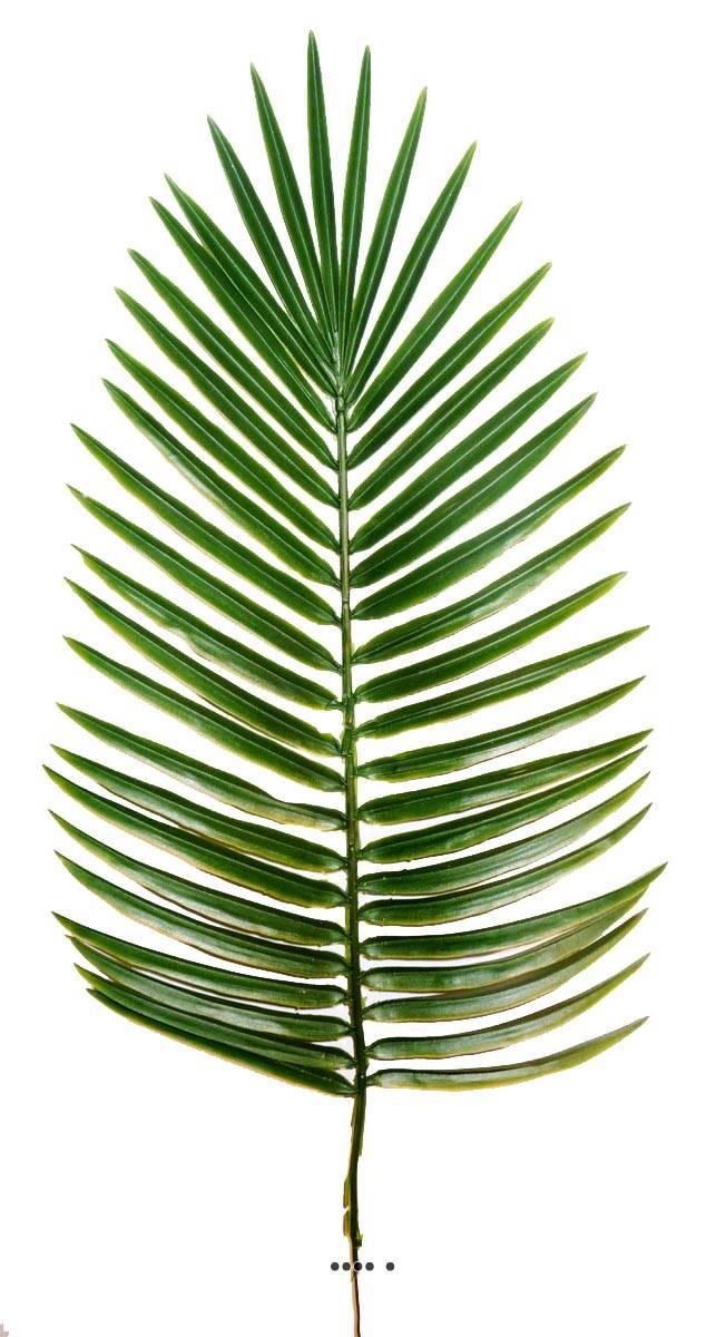 artificielles Feuille de palmier Phoenix X12 H 63 cm Plastique pour exterieur D 27 cm du site Artificielles.com