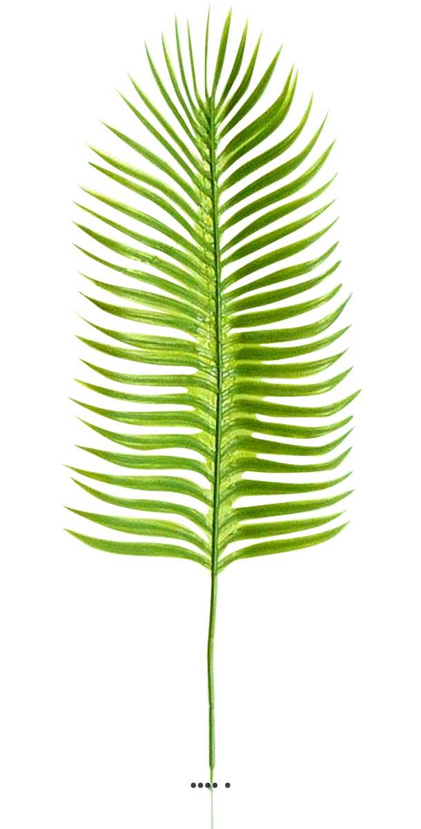 artificielles Feuille X12 palmier Phoenix artificielle H 43 cm D 15 cm plastique du site Artificielles.com