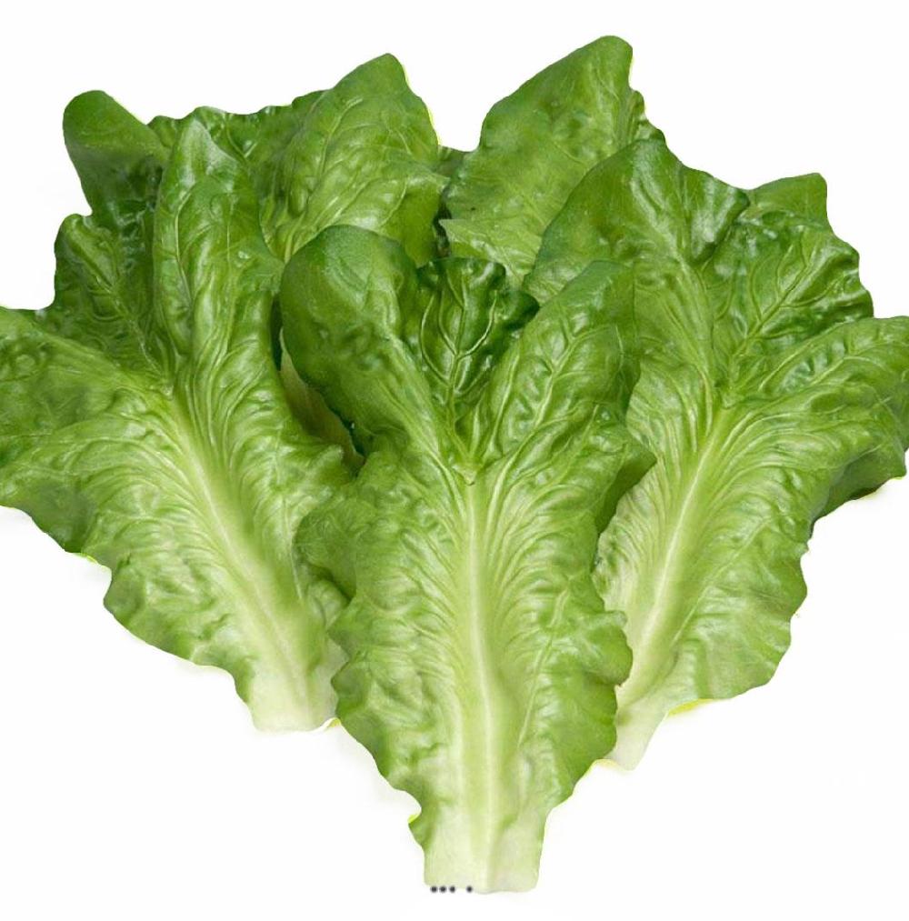 artificielles Feuilles de salade Artificielle Laitue X6 en latex superbe