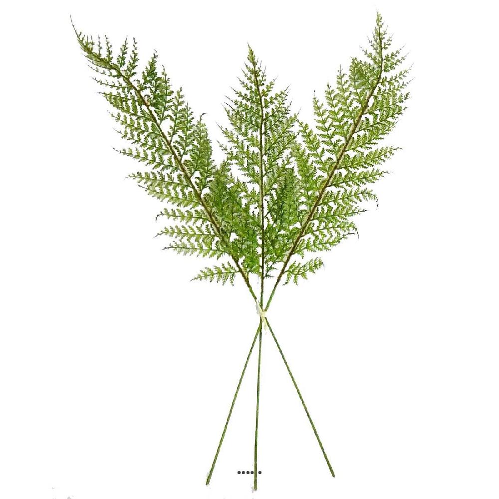 artificielles Feuilles X3 de fougere des forets artificielles H 64 cm superbe du site Artificielles.com