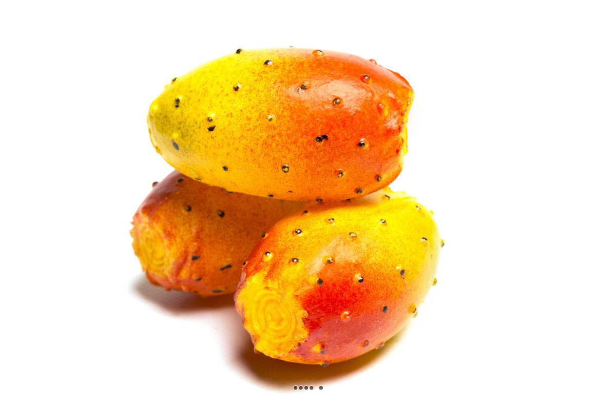 artificielles Figue de Barbarie artificielle X 3 en Plastique soufflé D 45x75 mm